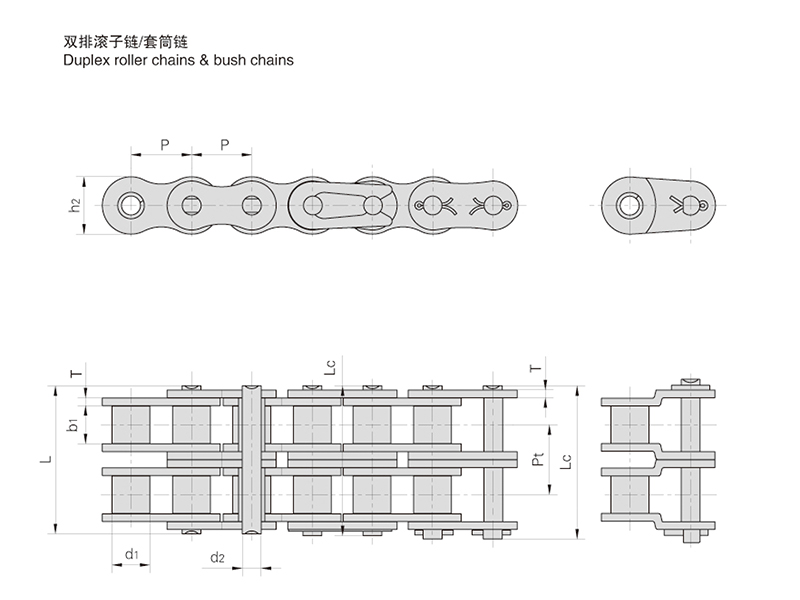 ˫�Ź�����/��Ͳ��