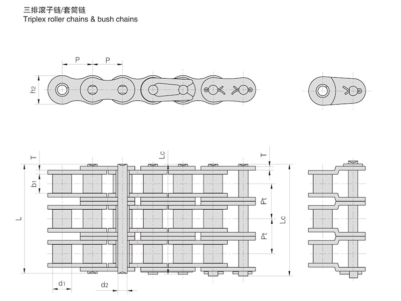 ���Ź�����/��Ͳ��