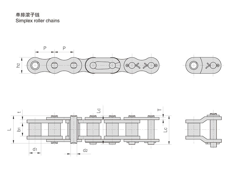 ���Ź�����