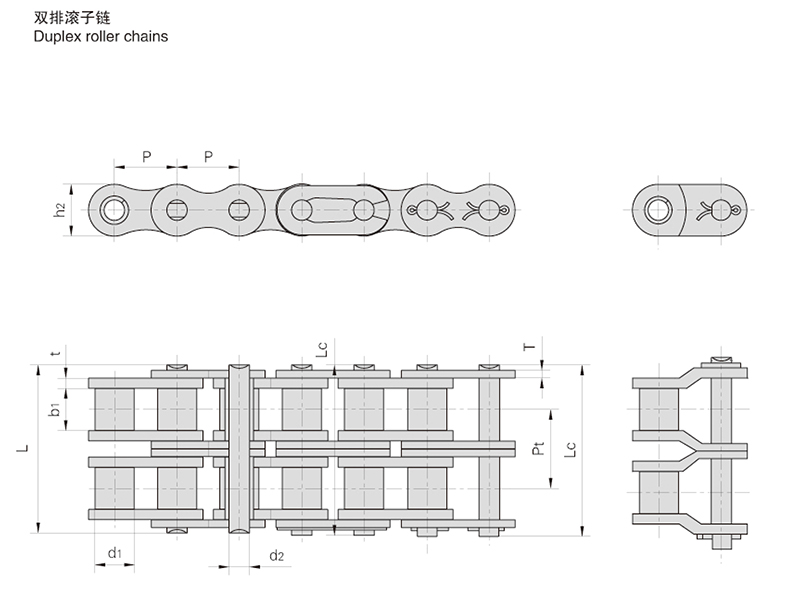 ˫�Ź�����