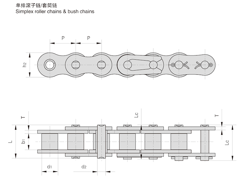 ���Ź�����/��Ͳ��