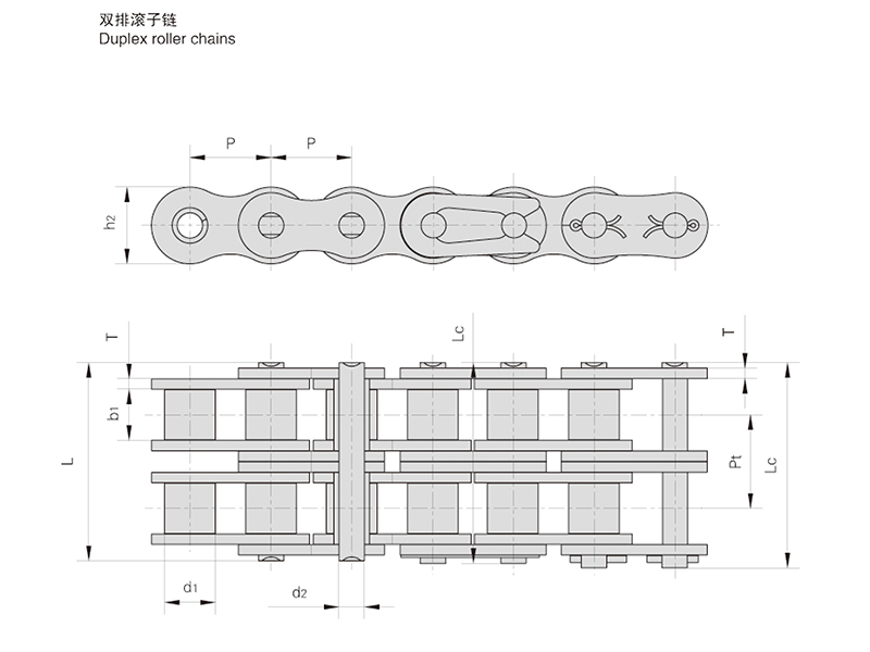 ˫�Ź�����