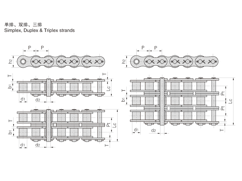 ���š�˫�š�����