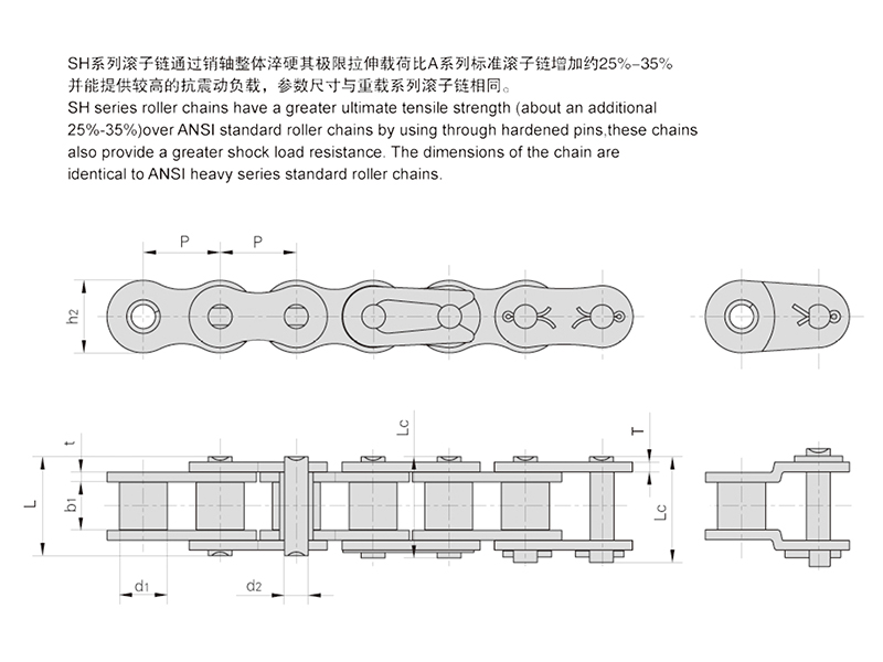SHϵ�и�ǿ�ȶ̽ھ����ع�����