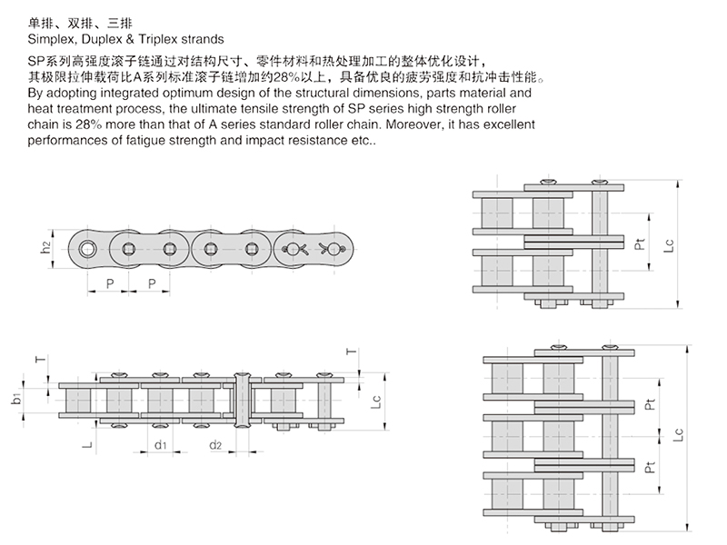 SPϵ�и�ǿ�ȶ̽ھ������