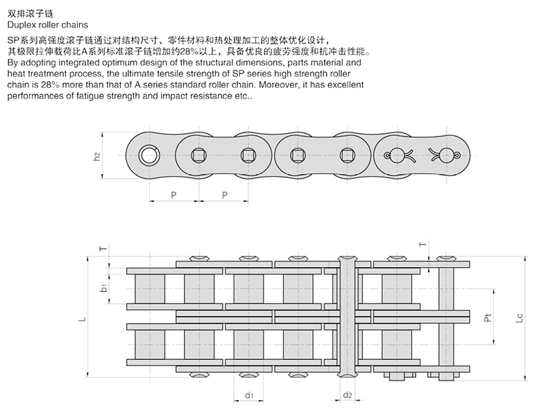 SPϵ�и�ǿ�ȶ̽ھ������