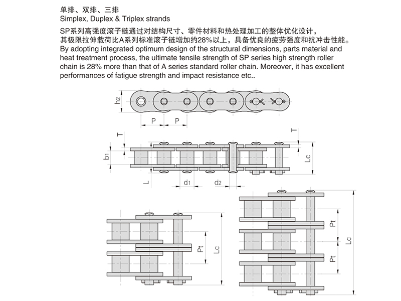 SPϵ�и�ǿ�ȶ̽ھ������