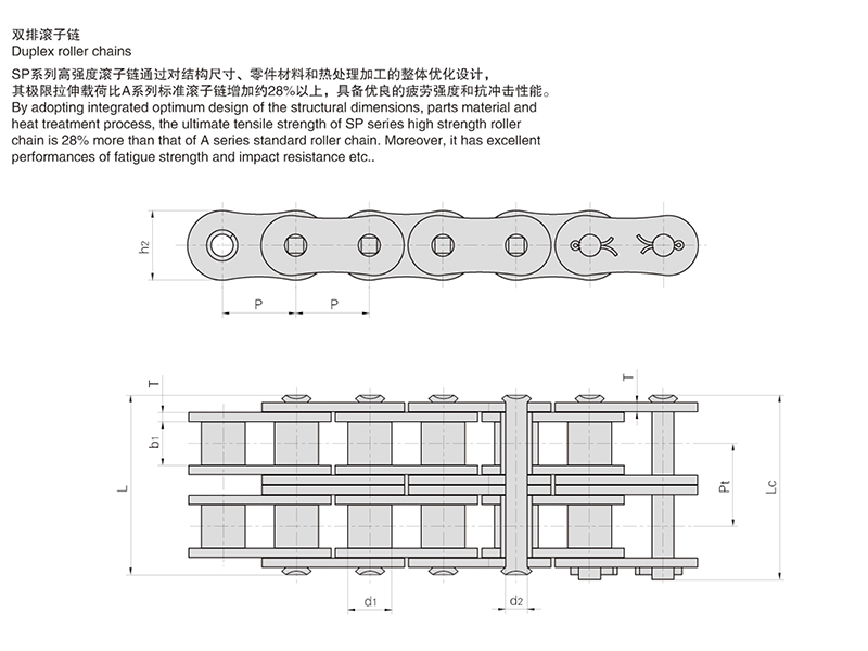 SPϵ�и�ǿ�ȶ̽ھ������