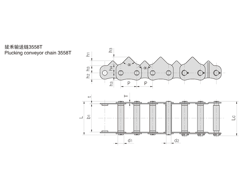 ˮ���ո����