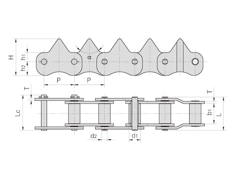 ˮ���ո����