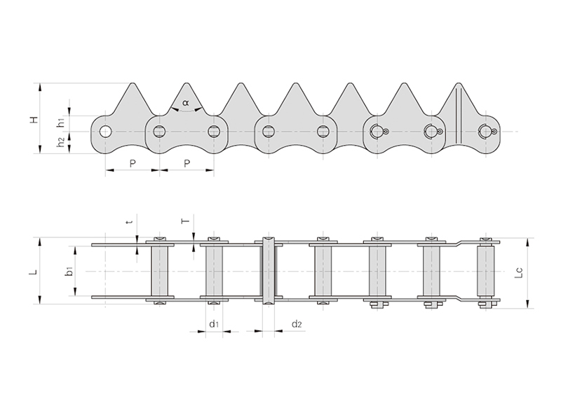 ˮ���ո����