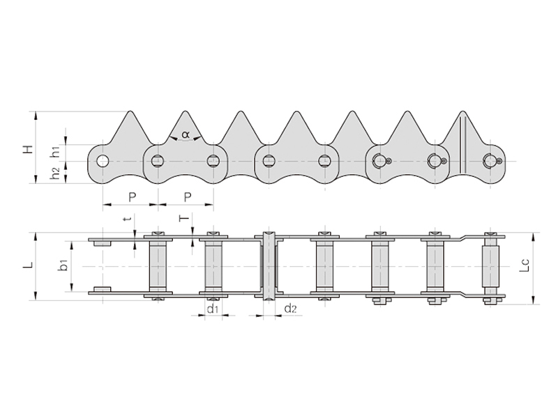 ˮ���ո����