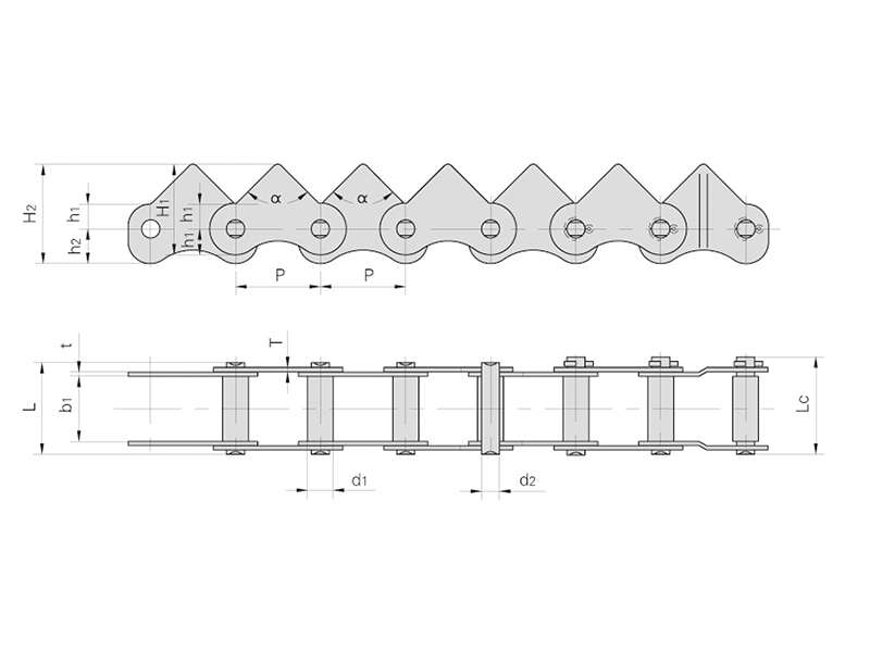 ˮ���ո����