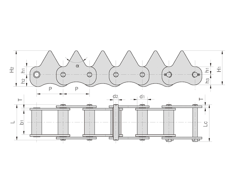 ˮ���ո����