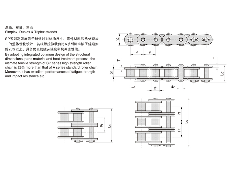 SPϵ�и�ǿ�ȶ̽ھ������