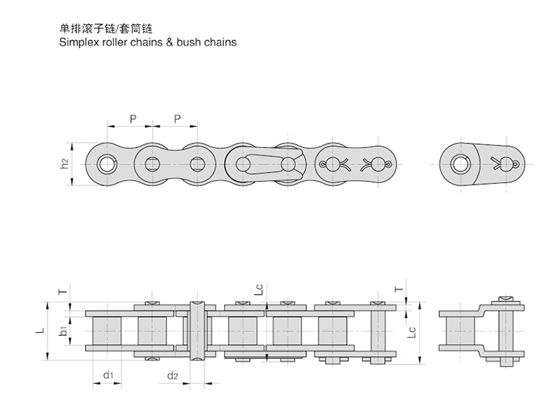 Aϵ�ж̽ھྫ�ܹ�����
