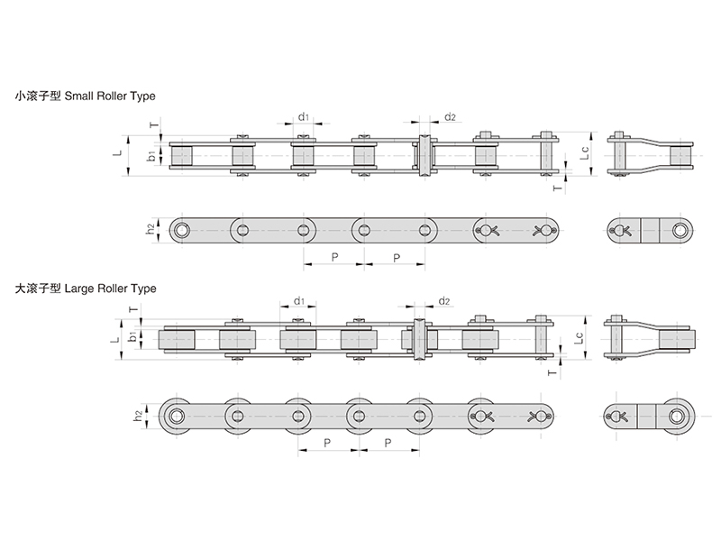 ˫�ھ�������