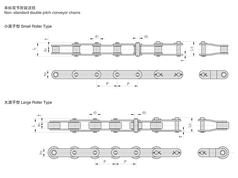 ˫�ھ�������