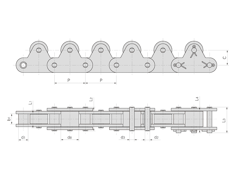 ��������˫�ھ�������