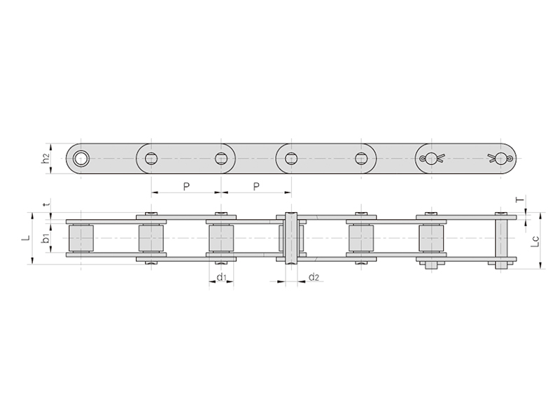 ľ��������������