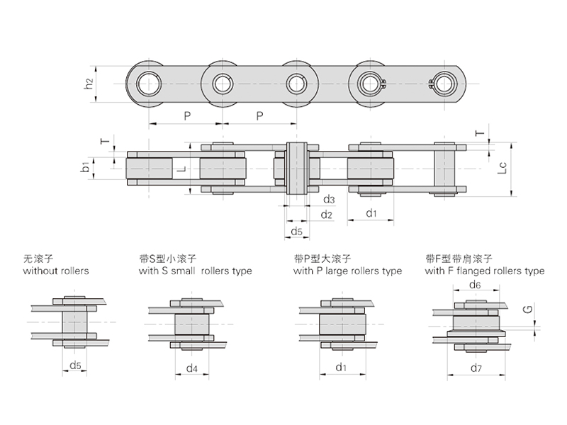 FVCϵ�п�������������