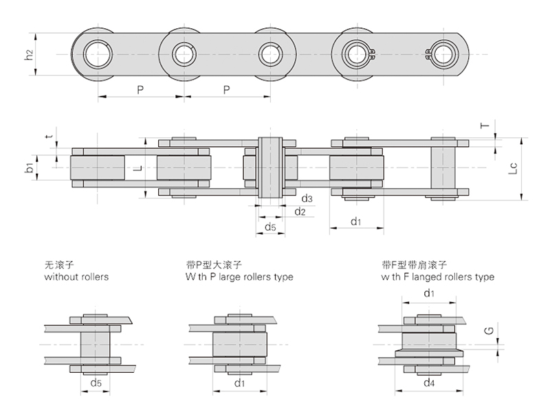 ZCϵ�п�������������