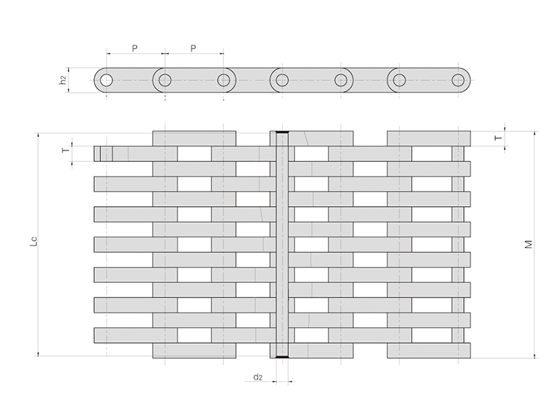 �ֳ���������