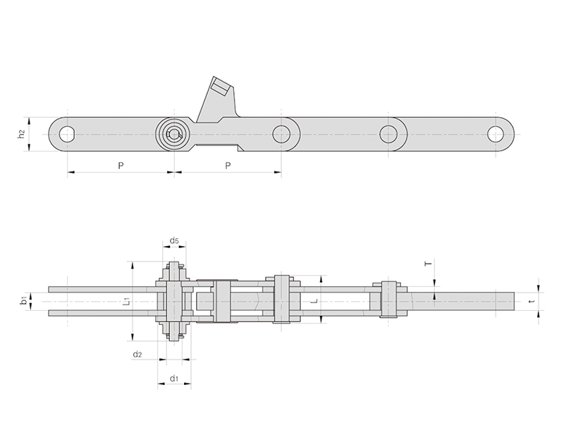 �ֳ���������