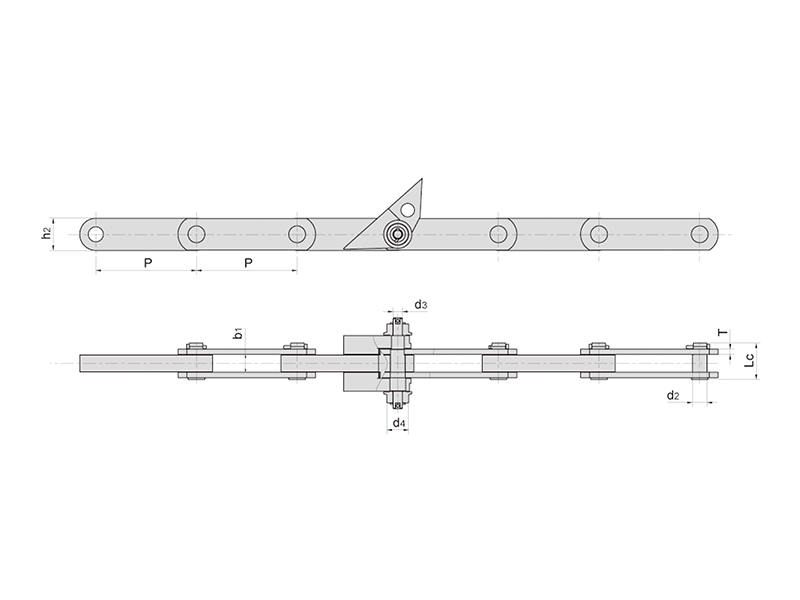 �ֳ���������