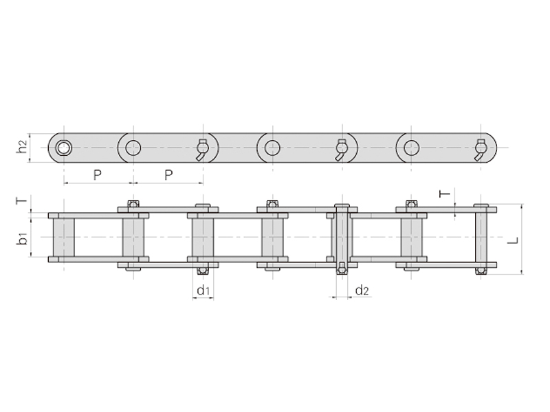 �����ø�����Ͳ��