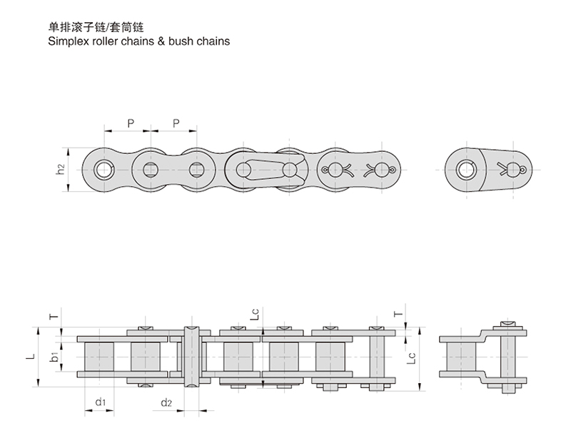 ���Ź�����/��Ͳ��